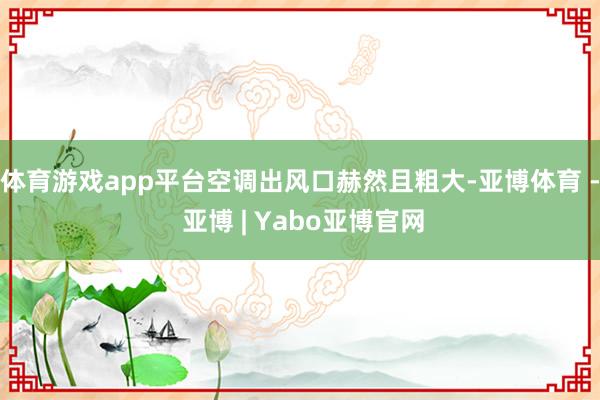 体育游戏app平台空调出风口赫然且粗大-亚博体育 - 亚博 | Yabo亚博官网