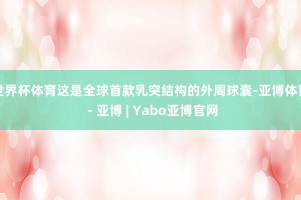 世界杯体育这是全球首款乳突结构的外周球囊-亚博体育 - 亚博 | Yabo亚博官网
