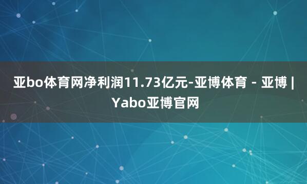 亚bo体育网净利润11.73亿元-亚博体育 - 亚博 | Yabo亚博官网