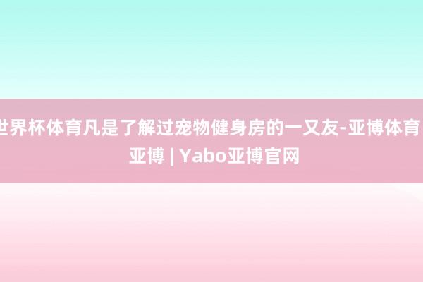世界杯体育凡是了解过宠物健身房的一又友-亚博体育 - 亚博 | Yabo亚博官网