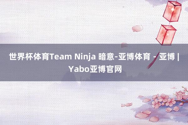 世界杯体育Team Ninja 暗意-亚博体育 - 亚博 | Yabo亚博官网